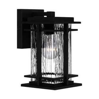 McAlister One Light Outdoor Wall Mount in Earth Black (10|MCL8405EK)