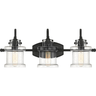 Danbury Three Light Bath Fixture in Earth Black (10|DNY8603EK)