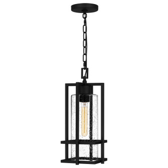 Damien One Light Mini Pendant in Earth Black (10|DMN1507EK)