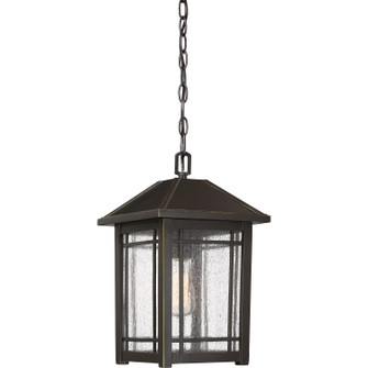 Cedar Point One Light Outdoor Hanging Lantern in Palladian Bronze (10|CPT1910PN)