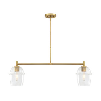 Summer Jazz Two Light Island Pendant in Brushed Gold (43|D310M-IS-BG)