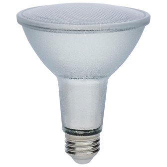 Light Bulb in Silver (230|S11498)