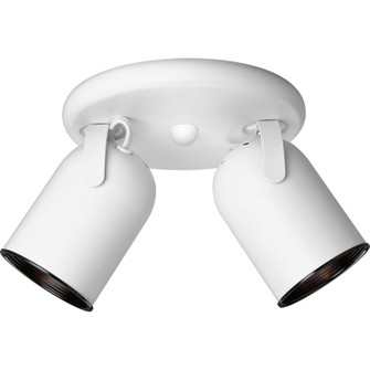 Directional Two Light Wall/Ceiling Mount in White (54|P6149-30)