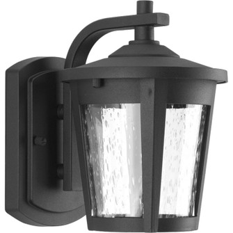 East Haven Led LED Wall Lantern in Black (54|P6077-3130K9)