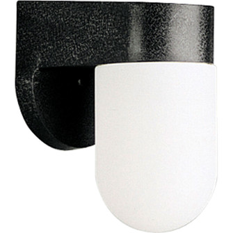 Polycarbonate Outdoor One Light Wall Lantern in Black (54|P5817-31)