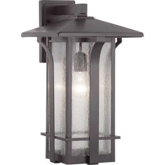 Cullman One Light Wall Lantern in Antique Bronze (54|P560126-020)