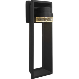 Z-1010 Led LED Wall Lantern in Black (54|P560029-031-30)