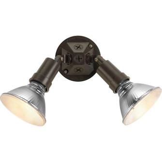 Par Lampholder Two Light Adjustable Swivel Flood Light in Antique Bronze (54|P5212-20)