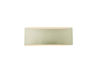 Ambiance One Light Wall Sconce in Celadon Green Crackle (102|CER-5765-CKC)
