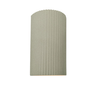 Ambiance LED Outdoor Wall Sconce in Celadon Green Crackle (102|CER-5745W-CKC)