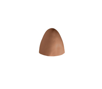 Ambiance One Light Outdoor Wall Sconce in Adobe (102|CER-2150W-ADOB)