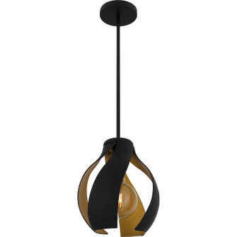 Quoizel Pendant One Light Pendant in Matte Black (10|QP6739MBK)