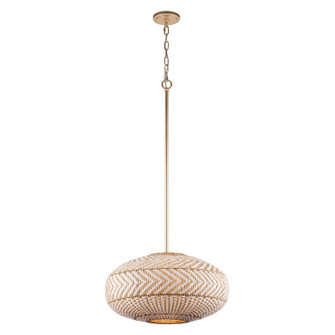 Zanzibar Four Light Pendant in Soft Gold (60|ZAN-9014-SG)