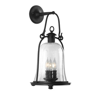 Owings Mill Three Light Wall Lantern in Natural Bronze (67|B9463-TBK)