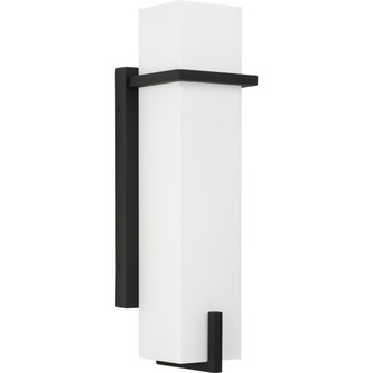 Antrim One Light Wall Lantern in Black (54|P560362-031)