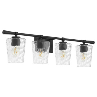 Goodwin Four Light Vanity in Matte Black (19|5204-4-59)