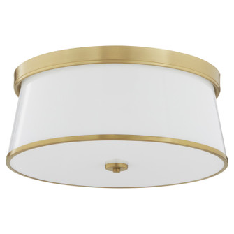 Weir Four Light Ceiling Mount in Aged Brass (19|3203-20-80)