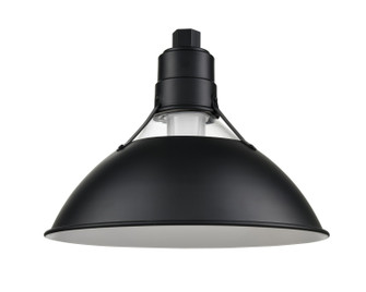 R Series One Light Shade in Satin Black (59|RGCS13-SB)