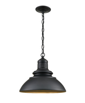 Adda LED Outdoor Lantern in Powder Coated Black (59|81103-PBK)