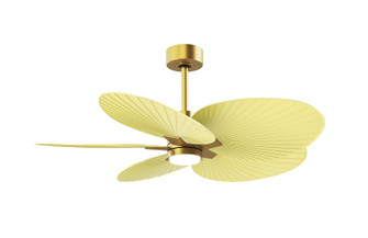Alessandra TROPICAL - LK 48'' Ceiling Fan in Brushed Brass (101|AKTPLK-BRBR-YE)