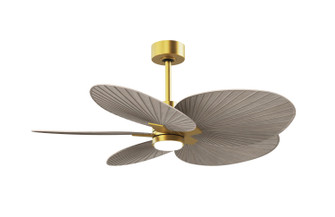 Alessandra TROPICAL - LK 48'' Ceiling Fan in Brushed Brass (101|AKTPLK-BRBR-GA)