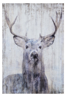 Gaze Wall Decor in Matte (443|W6471)