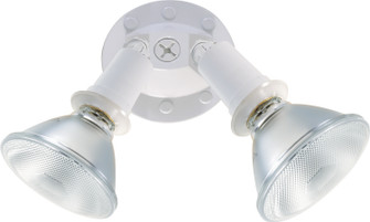 Two Light Floodlight in White (72|SF76-522)