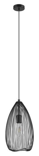 Clevedon One Light Pendant in Black (217|49141A)