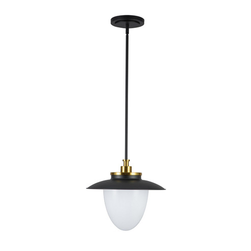 Dahlia One Light Pendant in Black (78|AC11905BB)