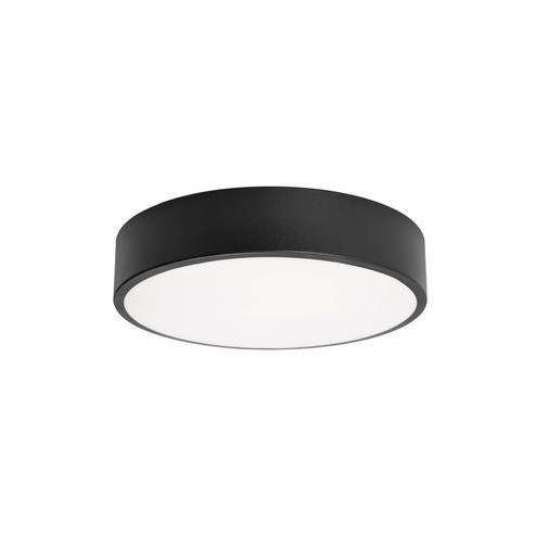 Bailey LED Flush Mount in Black (162|BAYF12LAJUDBK)