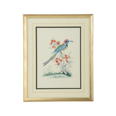 Bill Cain Watercolor in White/Cream (460|387223)