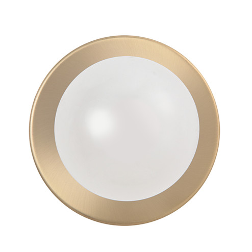 Dania LED Wall Sconce in Burnished Brass (443|WS145)