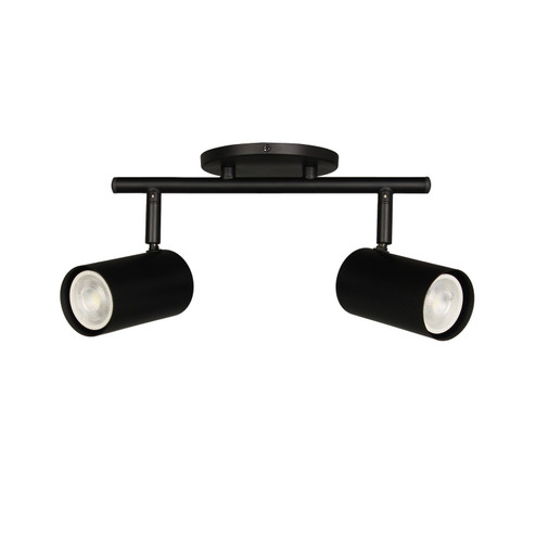 Taylor Two Light Track Light in Matte Black (216|TAY-122SF-MB)