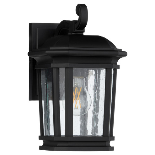 Murphy One Light Lantern in Matte Black (19|714-6-59)