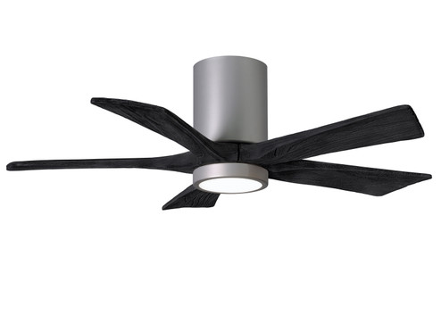 Irene-5HLK 42'' Ceiling Fan in Brushed Nickel (101|IR5HLK-BN-BK-42)
