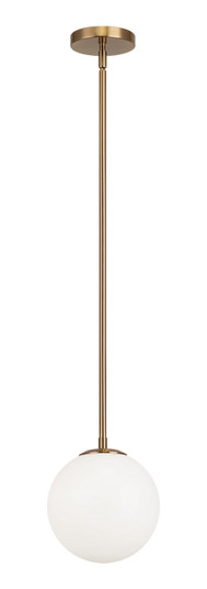 Novo One Light Chandelier in Aged Gold Brass (423|C81711AGOP)