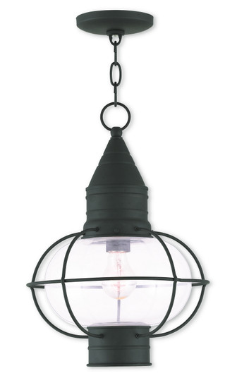 Newburyport One Light Outdoor Pendant in Black (107|26906-04)