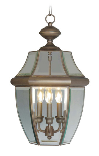 Monterey Three Light Outdoor Pendant in Bronze (107|2355-07)