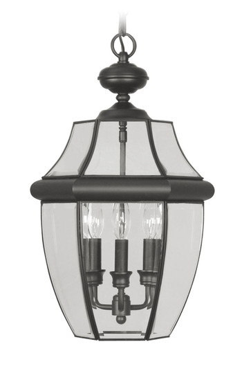 Monterey Three Light Outdoor Pendant in Black (107|2355-04)