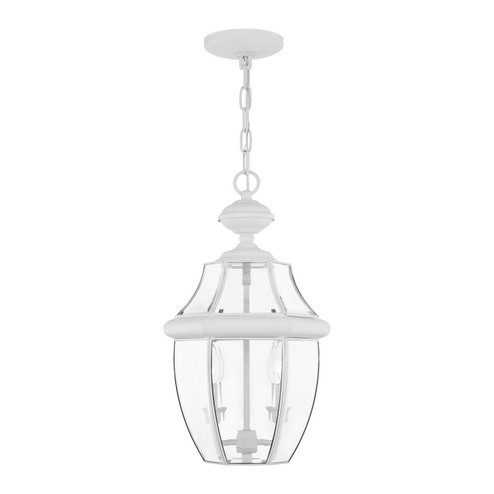 Monterey Two Light Outdoor Pendant in White (107|2255-03)