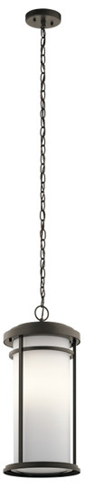 Toman One Light Outdoor Pendant in Olde Bronze (12|49689OZ)