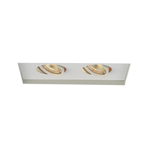 Mr16 Multiples Two Light Trim in White (34|MT-216TL-WT)