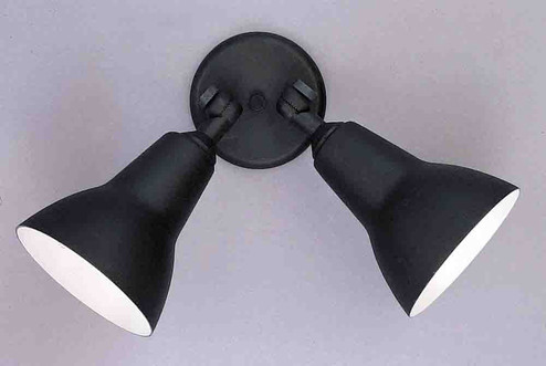 Outdoor Black Two Light Ceiling / Wall Mount Flood Light in Black (223|V9782-5)