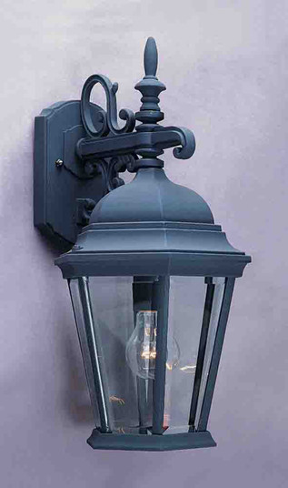 Outdoor Black One Light Outdoor Fixture in Black (223|V8230-5)