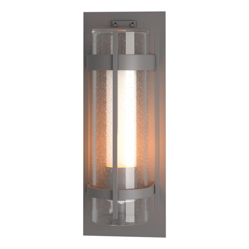 Torch One Light Outdoor Wall Sconce in Coastal Burnished Steel (39|305899-SKT-78-ZS0664)