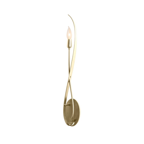 Willow One Light Wall Sconce in Modern Brass (39|209120-SKT-86)