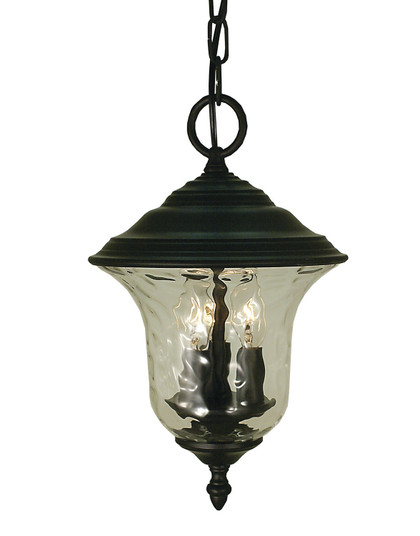 Hartford Three Light Exterior Ceiling Mount in Charcoal (8|1221 CH)