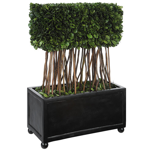 Preserved Boxwood Topiary in Satin Black (52|60188)