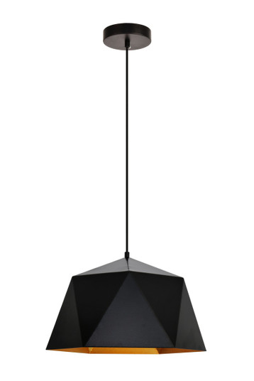 Arden One Light Pendant in Black and Golden inside (173|LDPD2081)