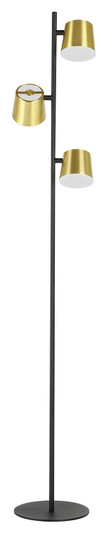 Altamira LED Floor Lamp in Structured Black & Brass (217|39987A)